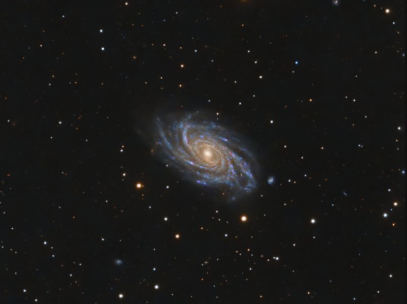 NGC 2336
