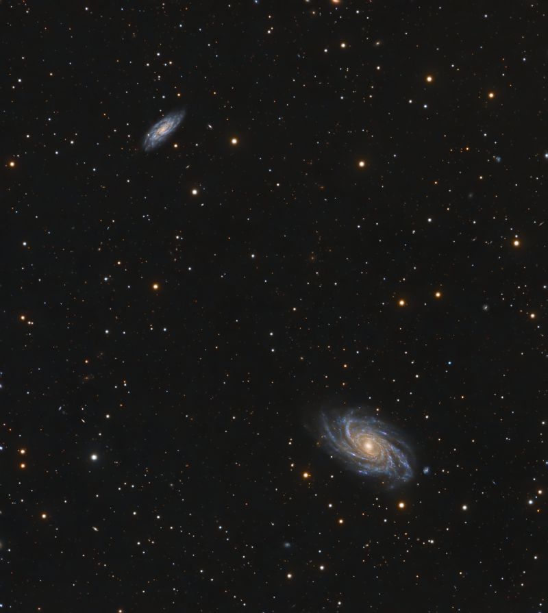 NGC 2336-2336a