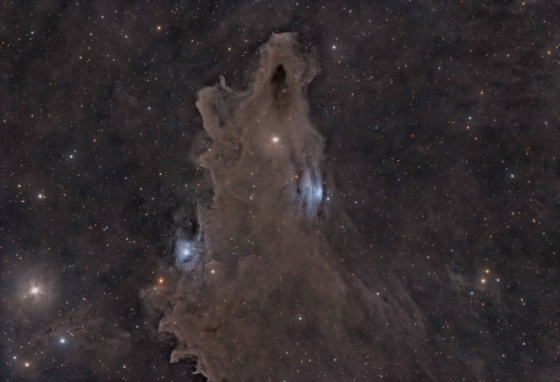 LDN1235-Shark Nebula