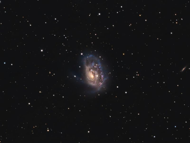 NGC 1961