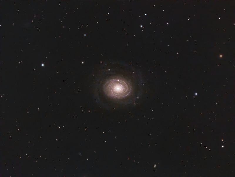 NGC 2985