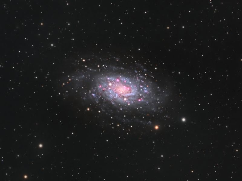NGC 2403