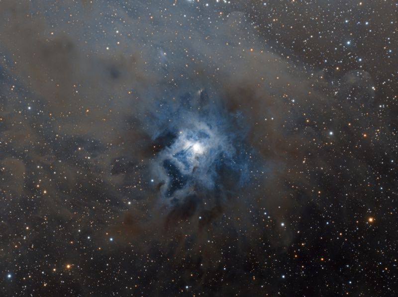 NGC 7023 - Iris Nebula