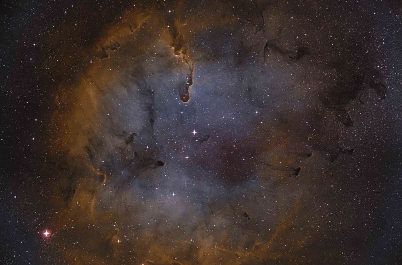 IC1396-Elephant Trunk Nebula